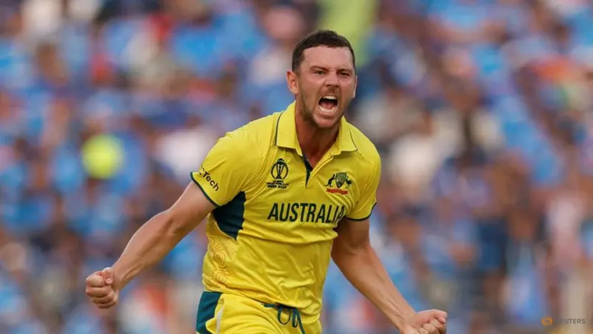 Hazlewood and Warner shine as Australia secure World Cup warm-up victory