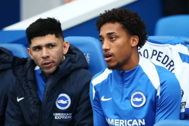 Brighton coach addresses Joao Pedro injury concerns after recent scare