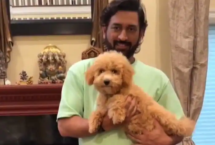 MS Dhoni's adorable video with a puppy catches fire online, don't miss it!