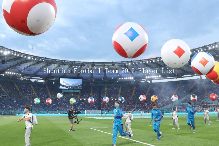 Shuntian Football Team 2012 Player List