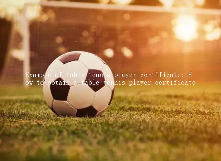 Example of table tennis player certificate: How to obtain a table tennis player certificate