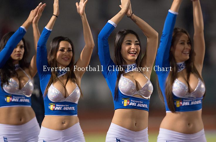 Everton Football Club Player Chart